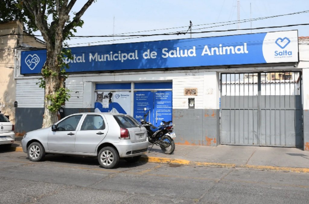 El Hospital de Mascotas atenderá durante las fiestas