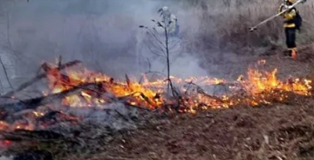Condenan al Estado por incendio en el Delta