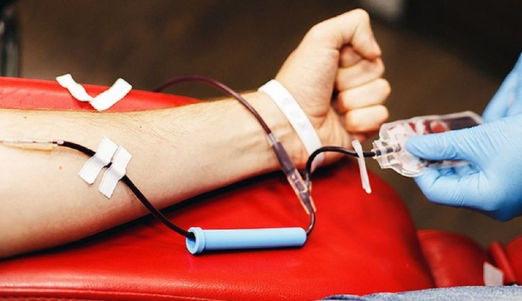 Colecta de sangre en la Cruz Roja