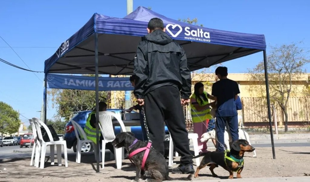Cronograma de Vacunación Antirrábica
