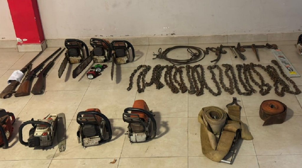 Importante operativo de investigación por robo de madera en Tartagal