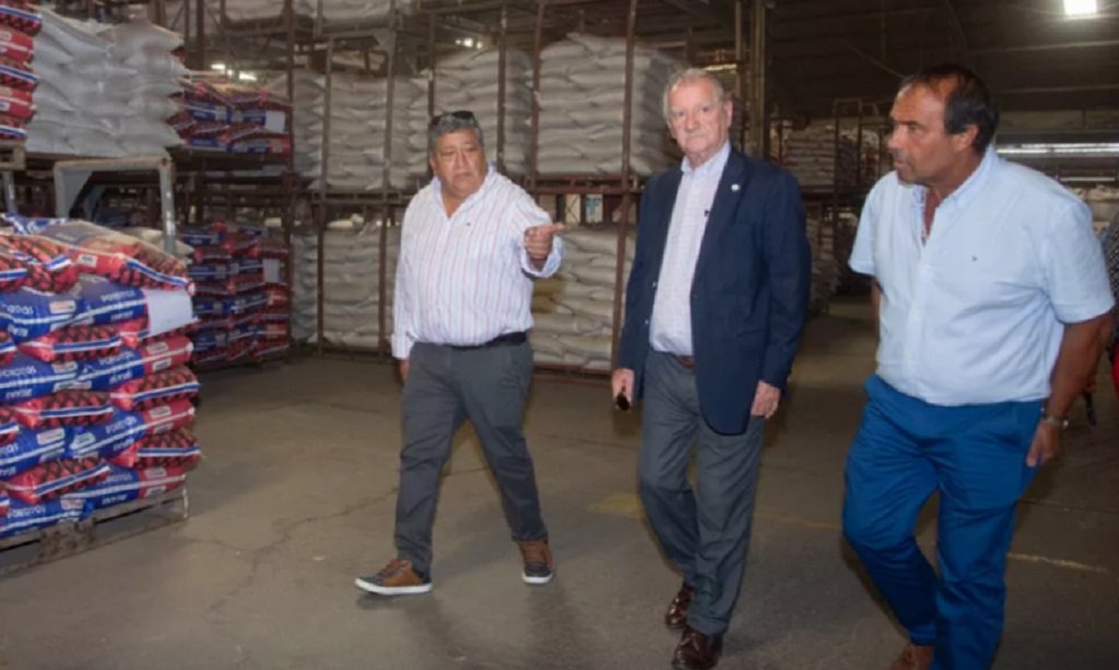 Salta fortalece la producción porotera y tabacalera