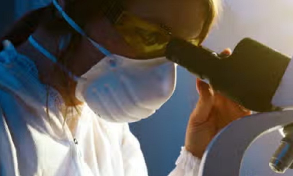 Científicos desarrollaron método de cultivo celular