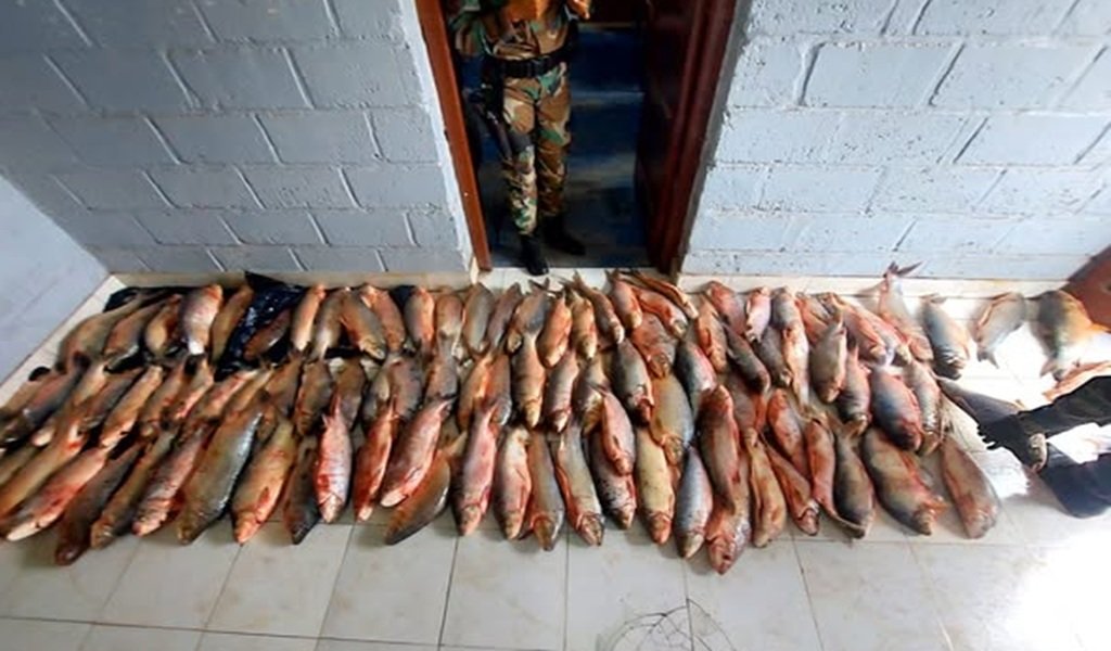 Infraccionaron a un hombre por pesca furtiva