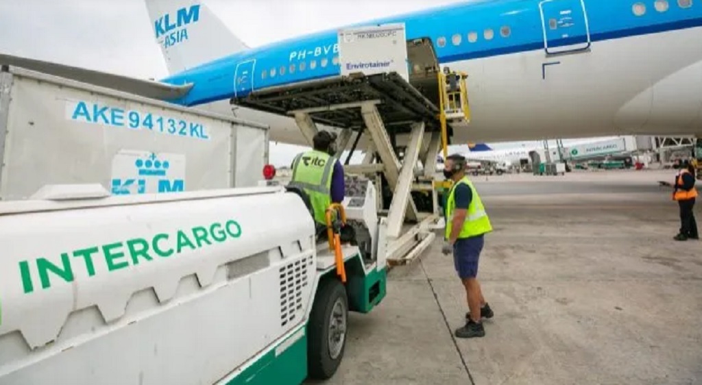 Intercargo despidió a dos empleados