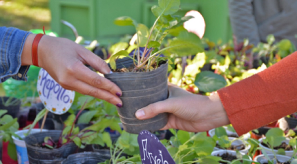 Este sábado habrá una nueva jornada de Ecocanje