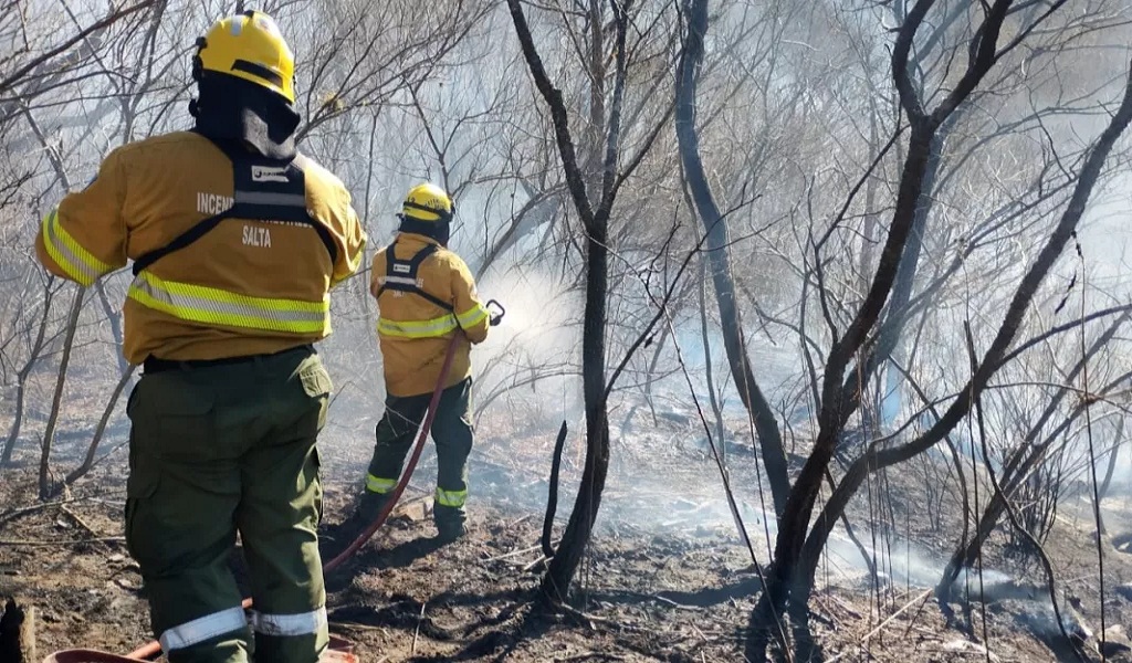 Sofocaron dos focos ígneos en el Cerro San Bernardo