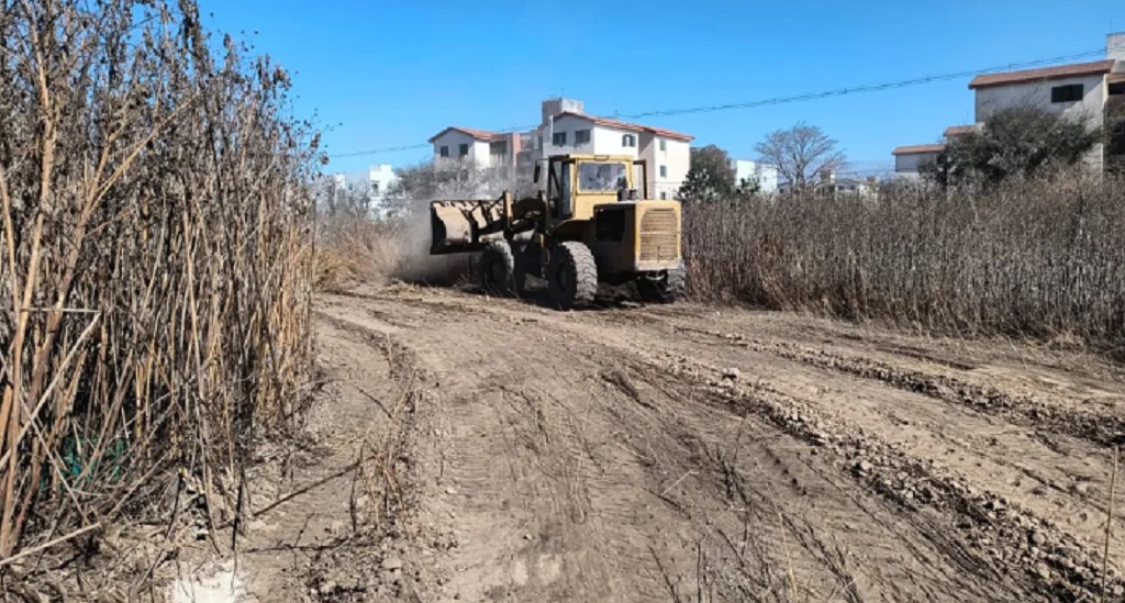Barrio El Bosque: inició la limpieza de un baldío