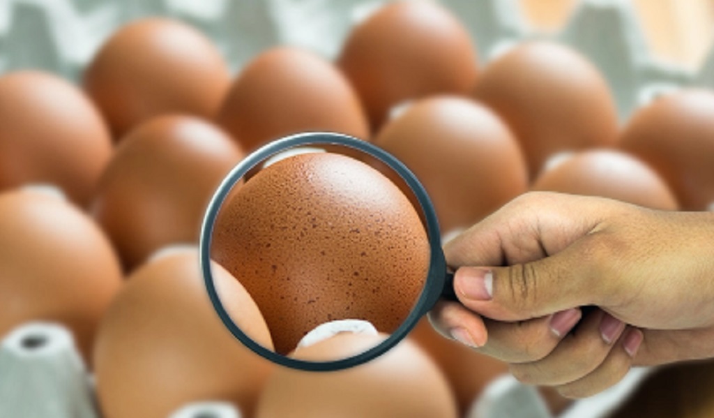 Los casos de salmonelosis disminuyeron en Salta