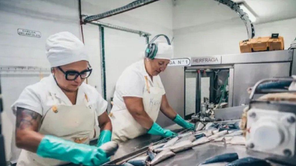 Se fortalece la producción de la pesca