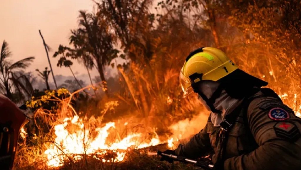Violentos incendios arrasan Francia