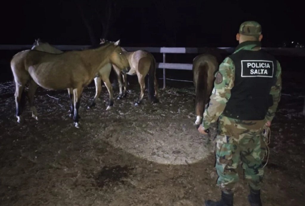 Rescataron 13 animales retenidos en una finca