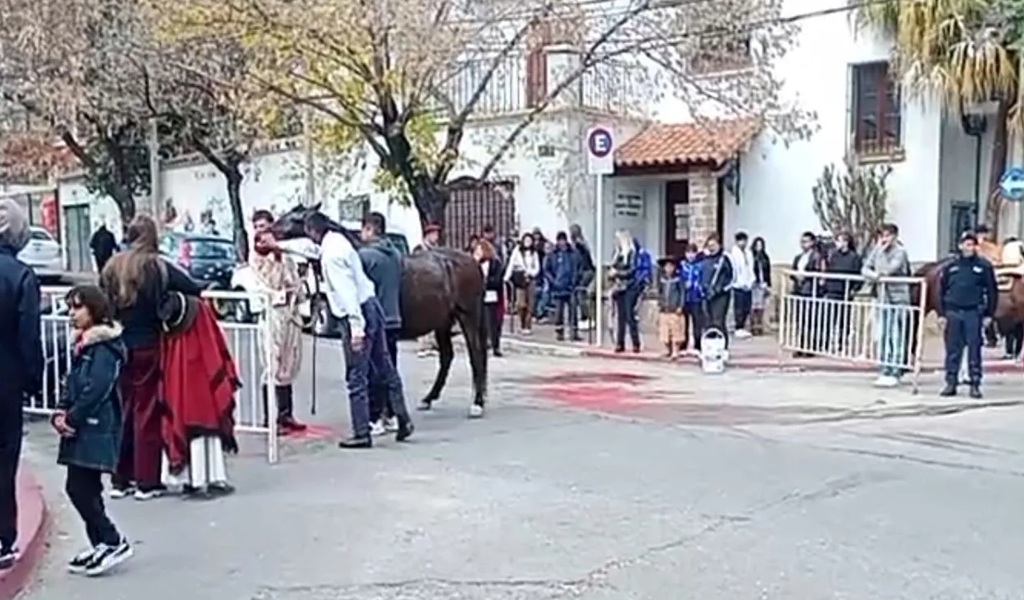 Proteccionistas en alerta por la muerte del caballo descompensado