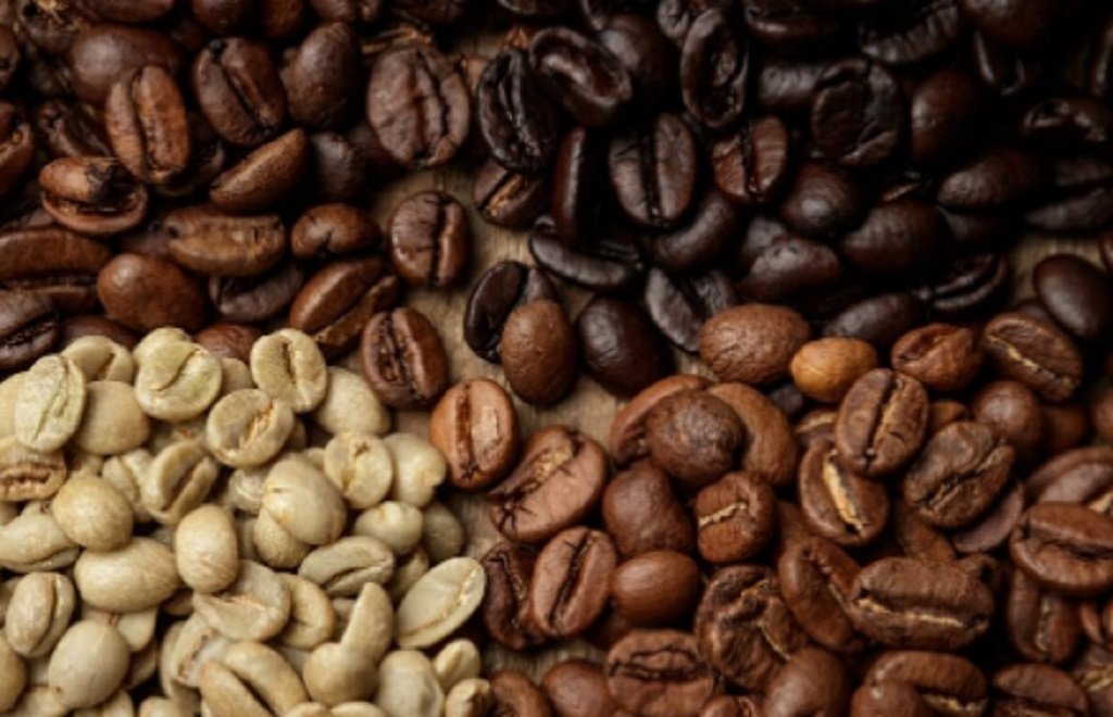 Buscan impulsar la producción de café en Salta