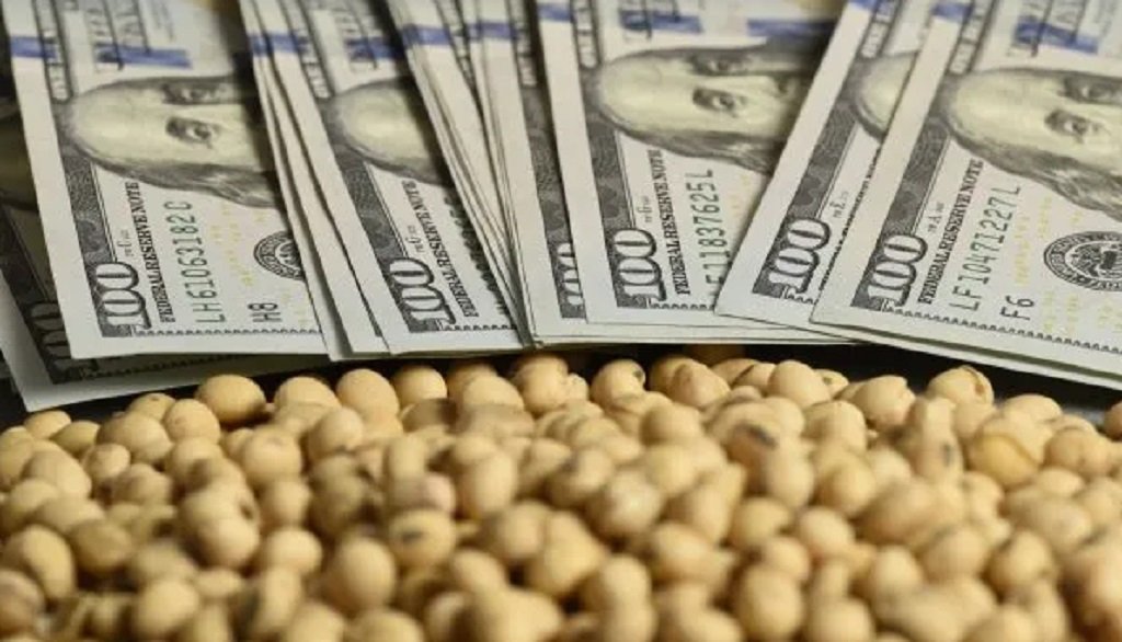 Agro pierde peso en las exportaciones