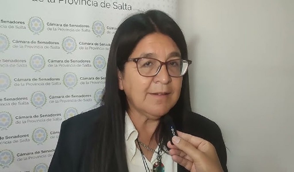 Senadores contra el cese del transporte para personas con discapacidad