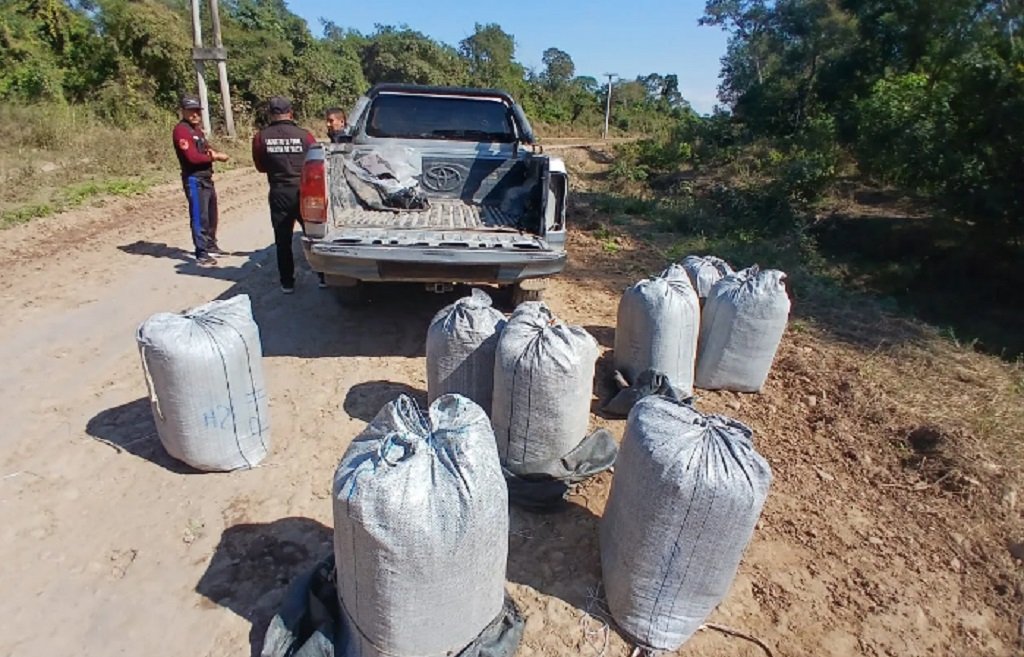 Incautaron 160 kilos de hojas de coca en Orán 
