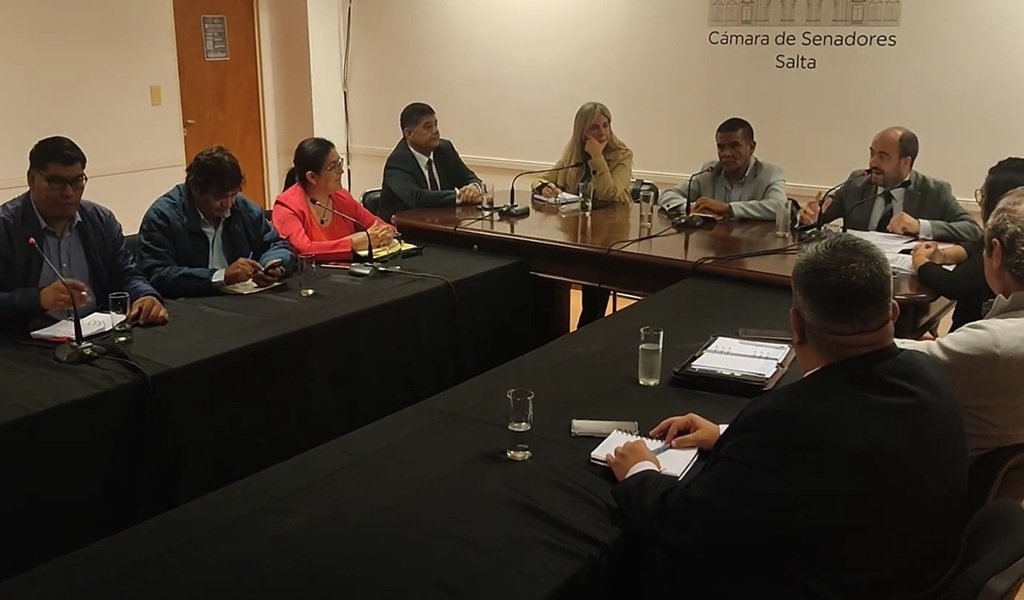 Senadores se interiorizaron sobre las Becas provinciales