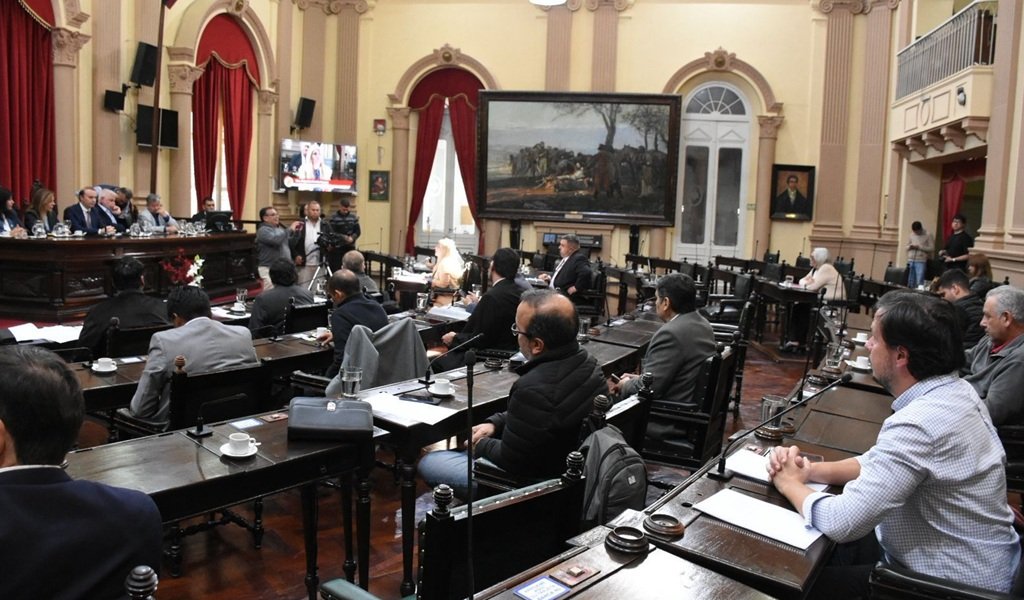 Plenario en el Senado con Legisladores nacionales