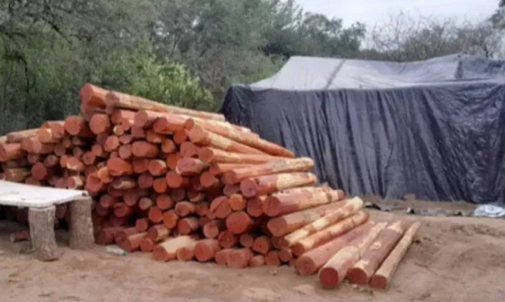 El Quebrachal: rescate a personas víctimas de explotación