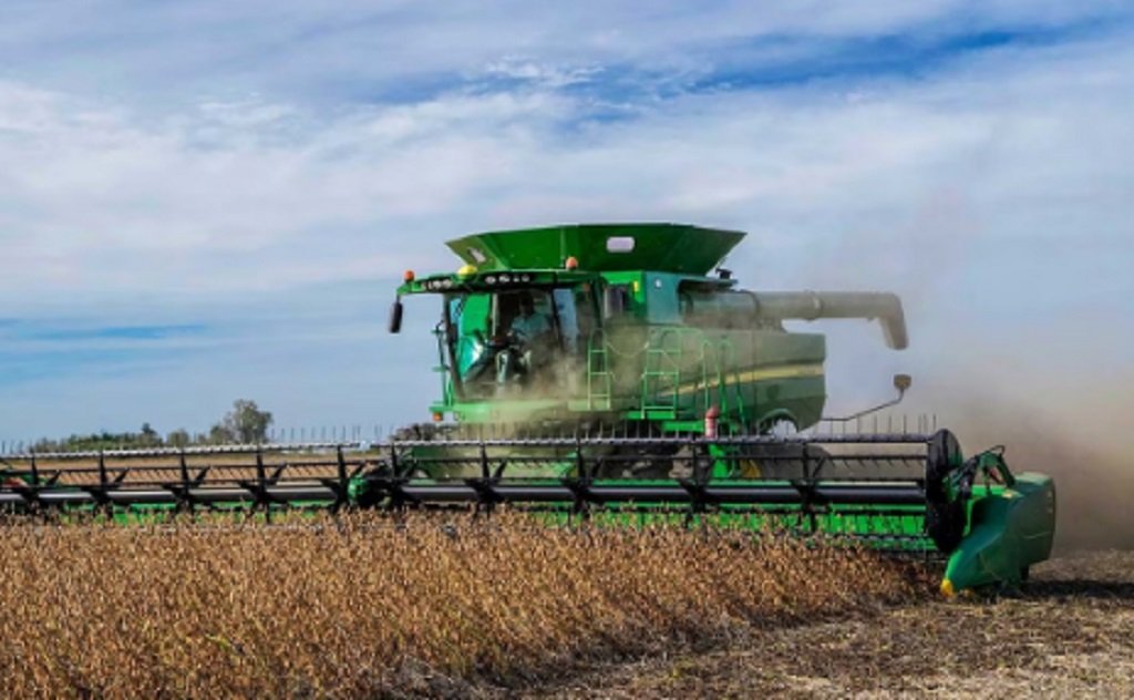 Trigo: proyectan una cosecha récord