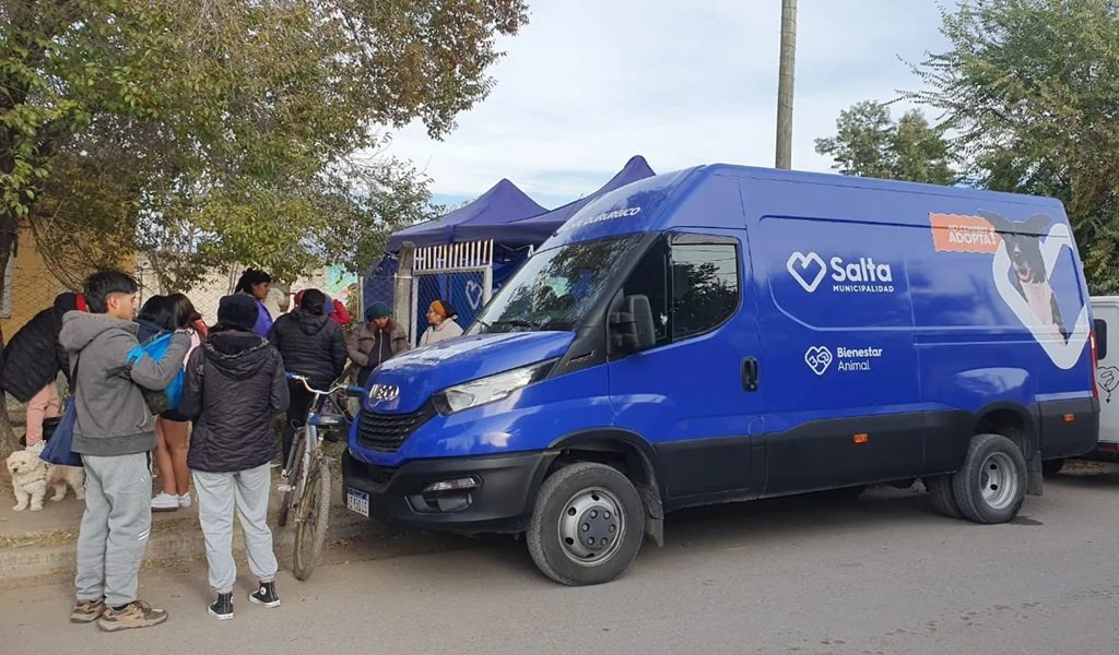 Continúan los operativos de castración animal en la ciudad