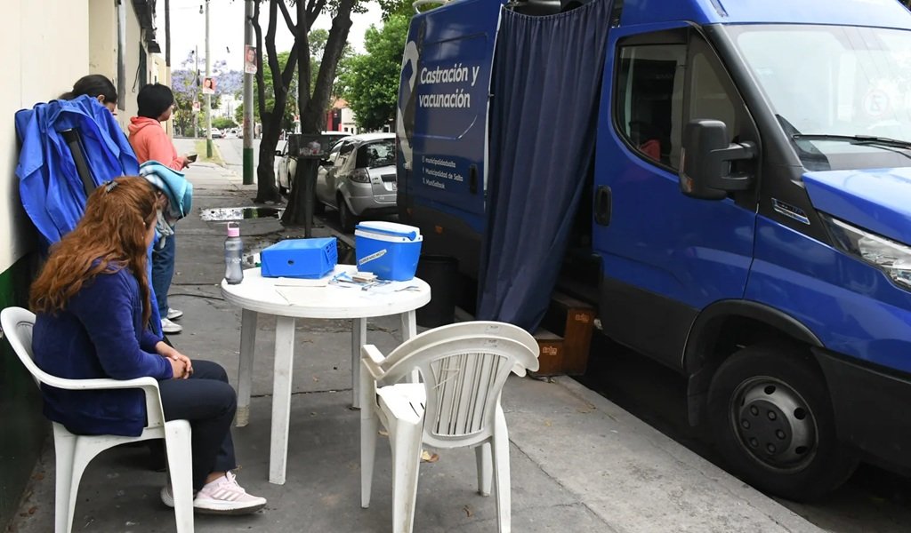 Cronograma del operativo de castración amimal