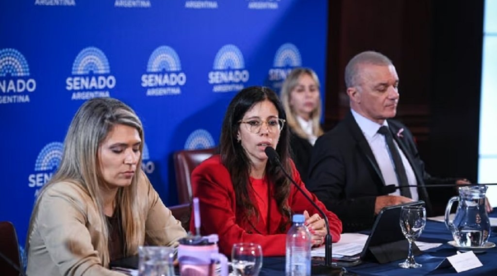 Avanza la reforma de la ley de Salud Mental