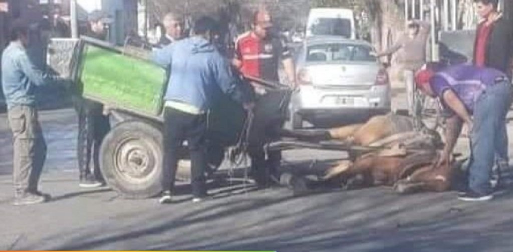 Metán busca erradicar la tracción a sangre