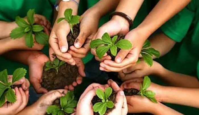 Actividades por la semana del Ambiente