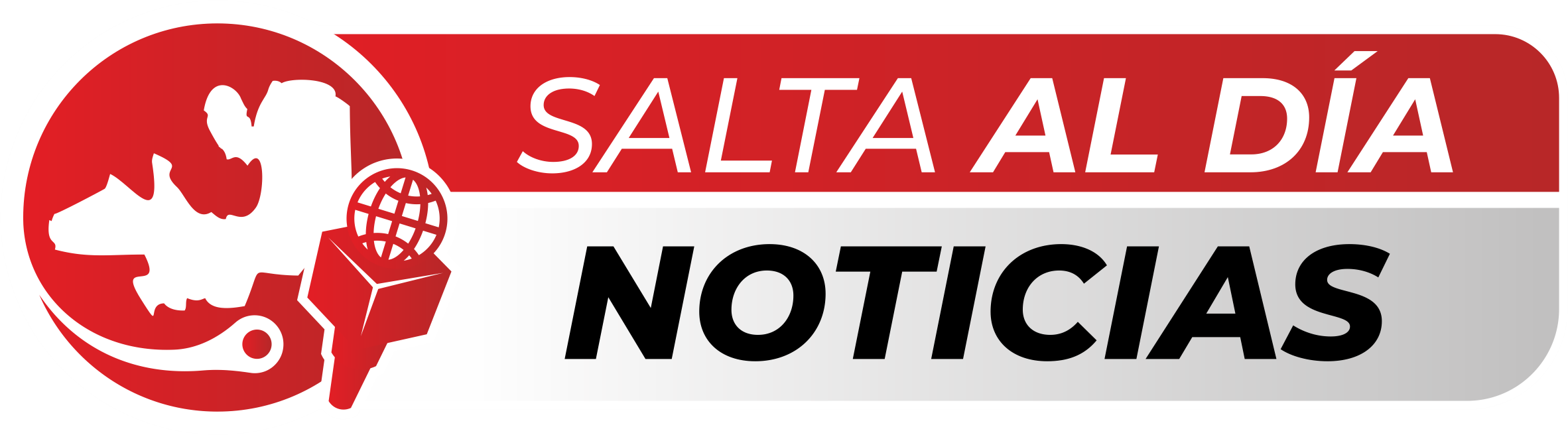 saltaaldianoticias.com.ar