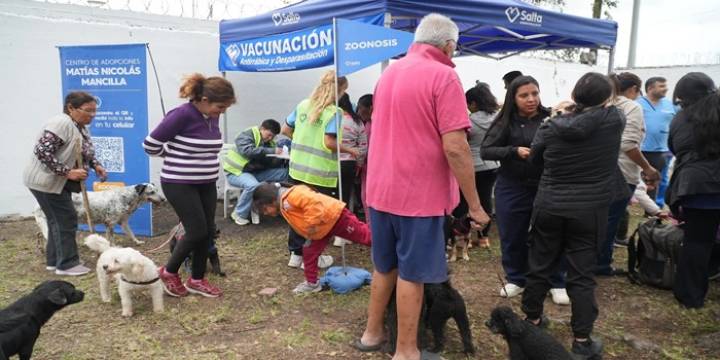 Vacunación antirrábica: Desde mañana en la zona oeste