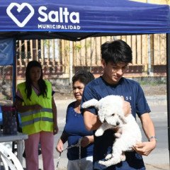 Vacunación antirrábica: La próxima semana en la zona oeste