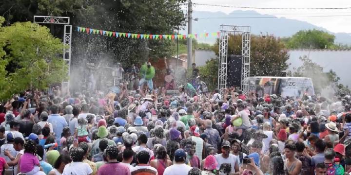 Comenzó la fiesta provincial de la Vendimia en Animaná