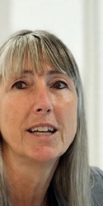 Observatorio de Violencia contra las Mujeres: Informe a Senadores
