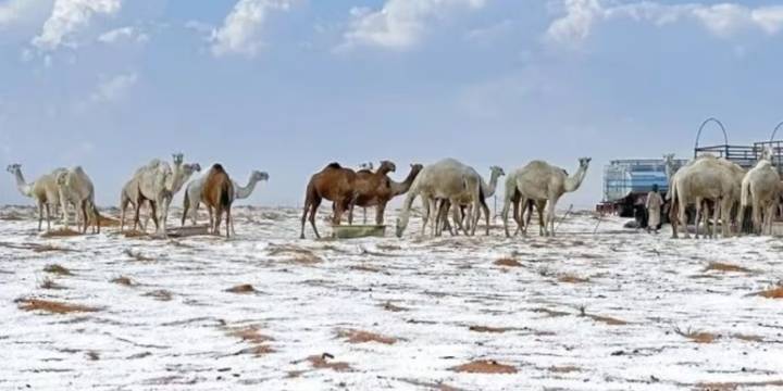  Inéditas inundaciones y granizo en el desierto de Sahara 