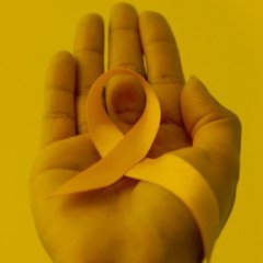 Salud fortalece la red de abordaje integral del suicidio