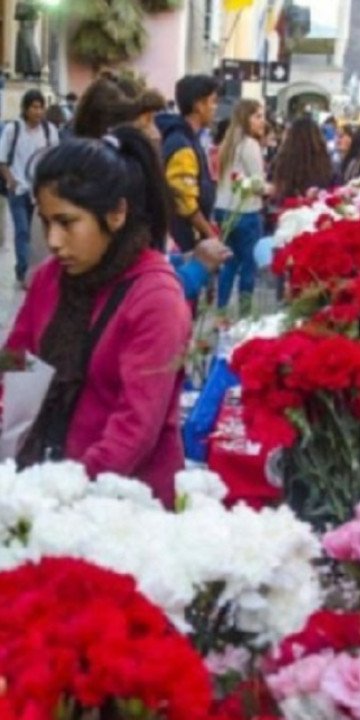 Vendedores de claveles piden trabajar cerca de la Catedral