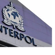 Interpol incautó más de 1.000 animales