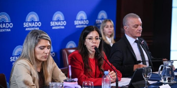 Avanza la reforma de la ley de Salud Mental