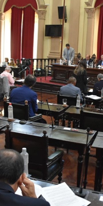 El Senado debate una adhesión parcial a la Ley Eléctrica Nacional