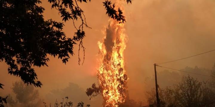 Fuertes incendios forestales en Jerusalén: hay heridos