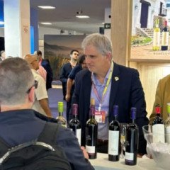 La industria vitivinícola salteña se destaca en la feria ProWine en Brasil