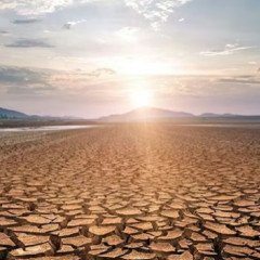 Piden declarar emergencia sanitaria mundial