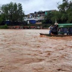 Hasta el próximo domingo se podrá pescar en el Bermejo