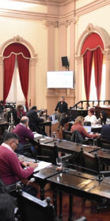 Diputados piden contuinidad de las políticas de discapacidad