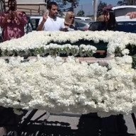 Milagro: cuánto cuestan este año los claveles