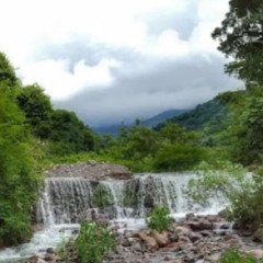 Protección de recursos en Finca Las Costas