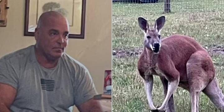 Un hombre murió tras ser atacado por un canguro