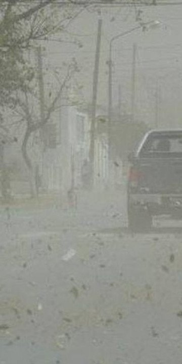Alerta amarilla por fuertes vientos